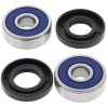 Wheel bearing and seal kit All Balls Racing WB25-1292