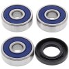 Wheel bearing and seal kit All Balls Racing WB25-1295