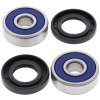 Wheel bearing and seal kit All Balls Racing WB25-1296