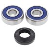 Wheel bearing and seal kit All Balls Racing WB25-1306