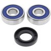 Wheel bearing and seal kit All Balls Racing WB25-1309