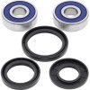 Wheel bearing and seal kit All Balls Racing WB25-1310