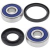 Wheel bearing and seal kit All Balls Racing WB25-1312