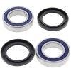 Wheel bearing and seal kit All Balls Racing WB25-1313