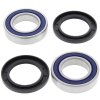 Wheel bearing and seal kit All Balls Racing WB25-1314