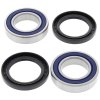 Wheel bearing and seal kit All Balls Racing WB25-1315