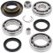 Differential bearing and seal kit All Balls Racing