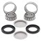 Swing arm bearing and seal kit All Balls Racing