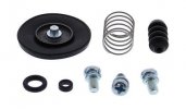 Acceleration pump rebuild kit All Balls Racing AP46-3004