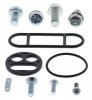 Fuel Tap Repair Kit All Balls Racing FT60-1080