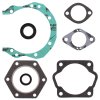 Complete gasket kit with oil seals WINDEROSA CGKOS 711011A