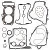 Complete gasket kit with oil seals WINDEROSA CGKOS 711299