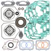 Complete gasket kit with oil seals WINDEROSA CGKOS 711303