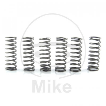 Clutch spring kit EBC CSK205 6