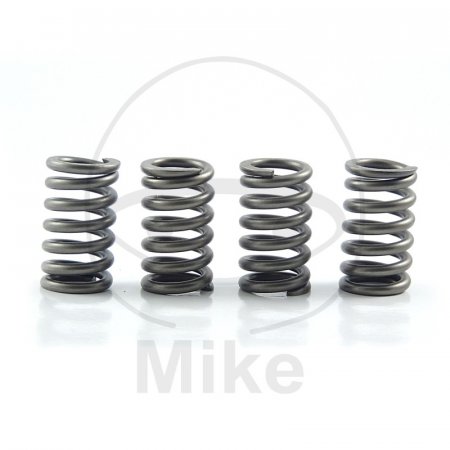 Clutch spring kit EBC CSK082 4