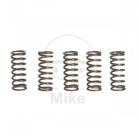 Clutch spring kit EBC CSK066 5