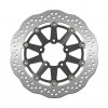 Brake disc NG 790XG