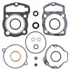 Top End Gasket Kit WINDEROSA TEGS 810240