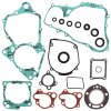 Complete Gasket Kit with Oil Seals WINDEROSA CGKOS 811232