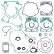 Complete Gasket Kit with Oil Seals WINDEROSA