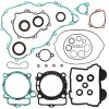 Complete Gasket Kit with Oil Seals WINDEROSA CGKOS 811339