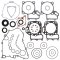 Complete Gasket Kit with Oil Seals WINDEROSA