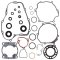 Complete Gasket Kit with Oil Seals WINDEROSA