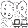 Complete Gasket Kit with Oil Seals WINDEROSA CGKOS 811415