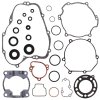 Complete Gasket Kit with Oil Seals WINDEROSA CGKOS 811419