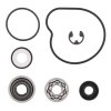 Water Pump Rebuild Kit WINDEROSA WPRK 821928