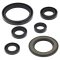 Engine Oil Seal Kit WINDEROSA