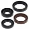 Engine Oil Seal Kit WINDEROSA