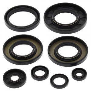 Engine Oil Seal Kit WINDEROSA