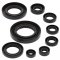 Engine Oil Seal Kit WINDEROSA