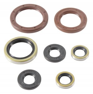 Engine Oil Seal Kit WINDEROSA