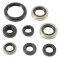 Engine Oil Seal Kit WINDEROSA