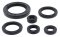 Engine Oil Seal Kit WINDEROSA