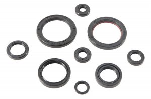 Engine Oil Seal Kit WINDEROSA