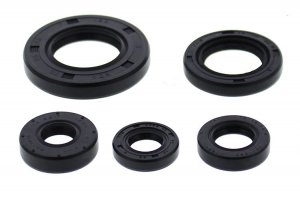 Engine Oil Seal Kit WINDEROSA