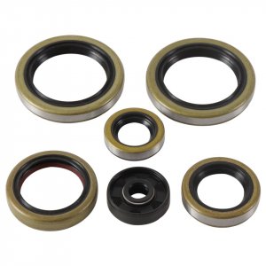 Engine Oil Seal Kit WINDEROSA