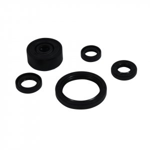 Engine Oil Seal Kit WINDEROSA