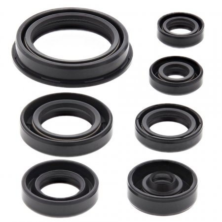 Engine Oil Seal Kit WINDEROSA EOSK 822690