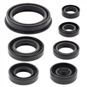 Engine Oil Seal Kit WINDEROSA