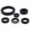 Engine Oil Seal Kit WINDEROSA