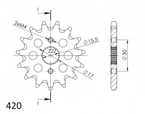 Front sprocket SUPERSPROX 15T, 420