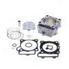 Cylinder kit ATHENA P400210100071 Standard Bore (with gaskets) d 79 mm, 250 cc