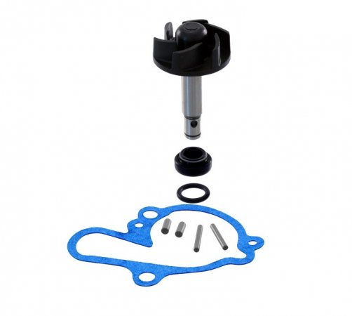 Water pump repair kit RMS 100110080