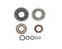 Crankshaft revision kit RMS 100201535