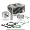 Cylinder kit Evok 100081060