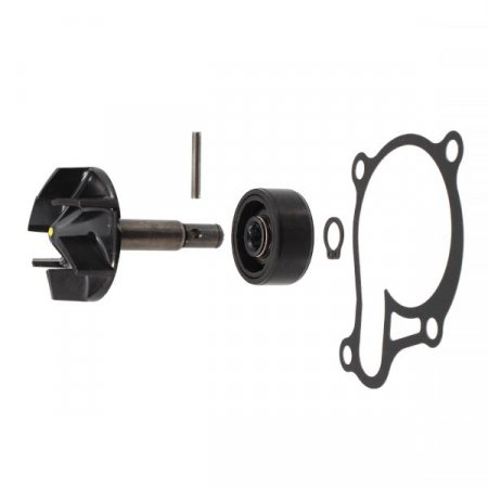 Water pump repair kit RMS 100110730